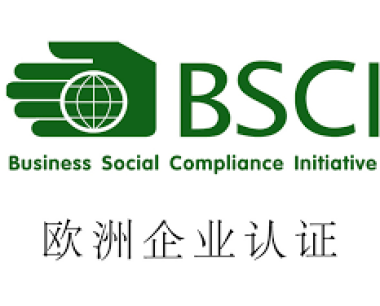 广州BSCI验厂流程审核内容，BSCI认证快速办理流程，专业辅导